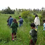 Casavero