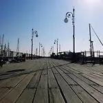 Casavero
