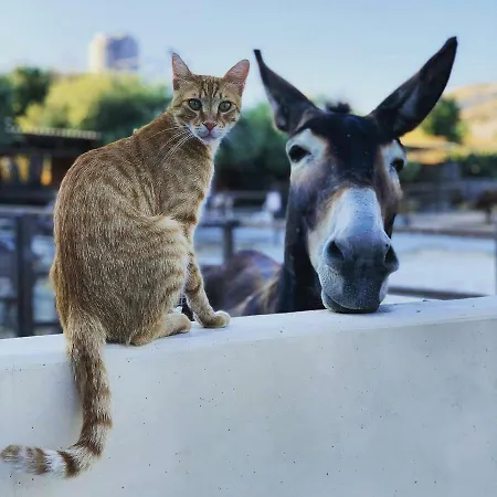 Pensión Casavero 4*