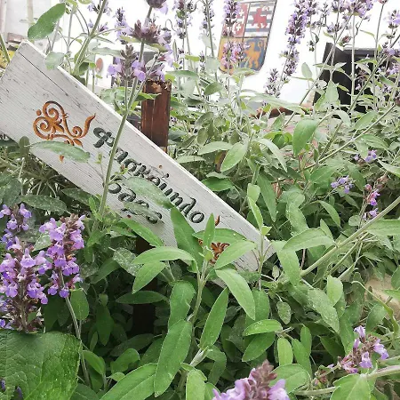 Konukevi Casavero 4*