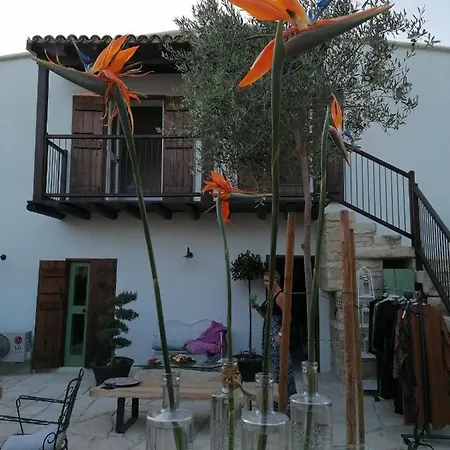Casavero