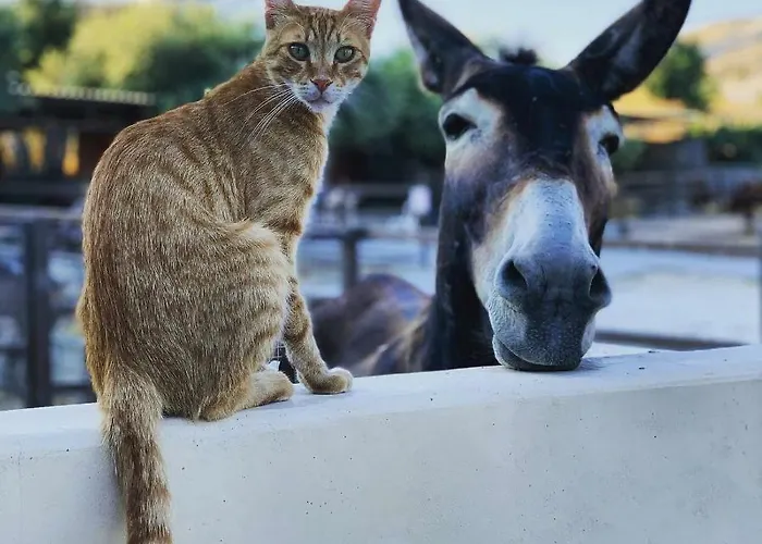Maison d'hôtes Casavero 4*