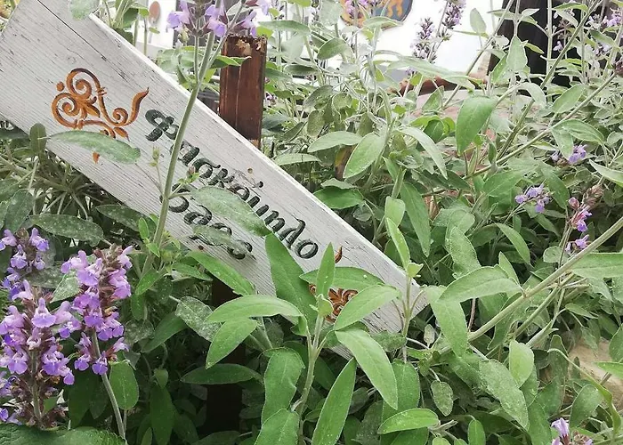 Maison d'hôtes Casavero 4*